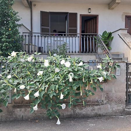 バニョレージョA Casa Idaアパートメント エクステリア 写真